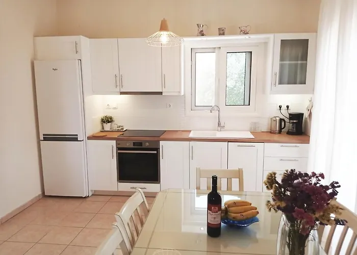 Katia Willa Tsoukaládhes